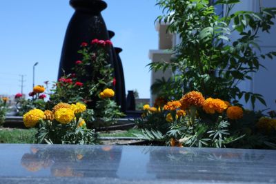 بنايات الجامعة