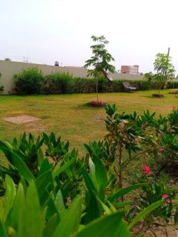 المساحات الخضراء