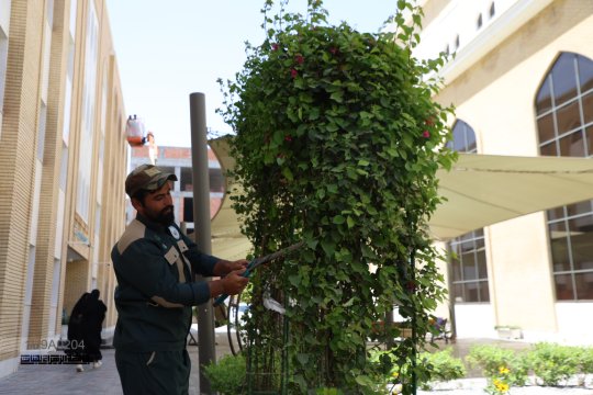 أخبار 2