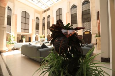 بنايات الجامعة