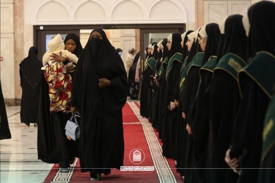 أخبار 6