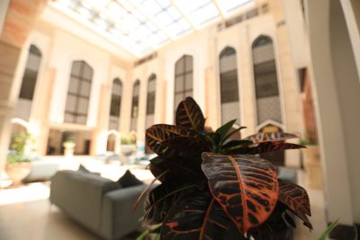 بنايات الجامعة