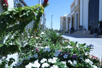 بنايات الجامعة