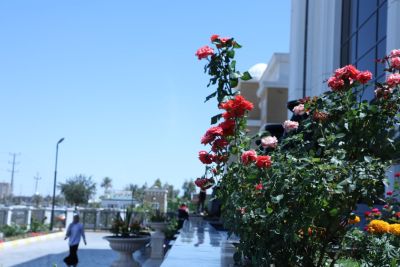 بنايات الجامعة