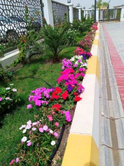 المساحات الخضراء