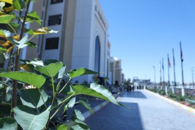 بنايات الجامعة